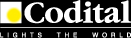 Logo Codital